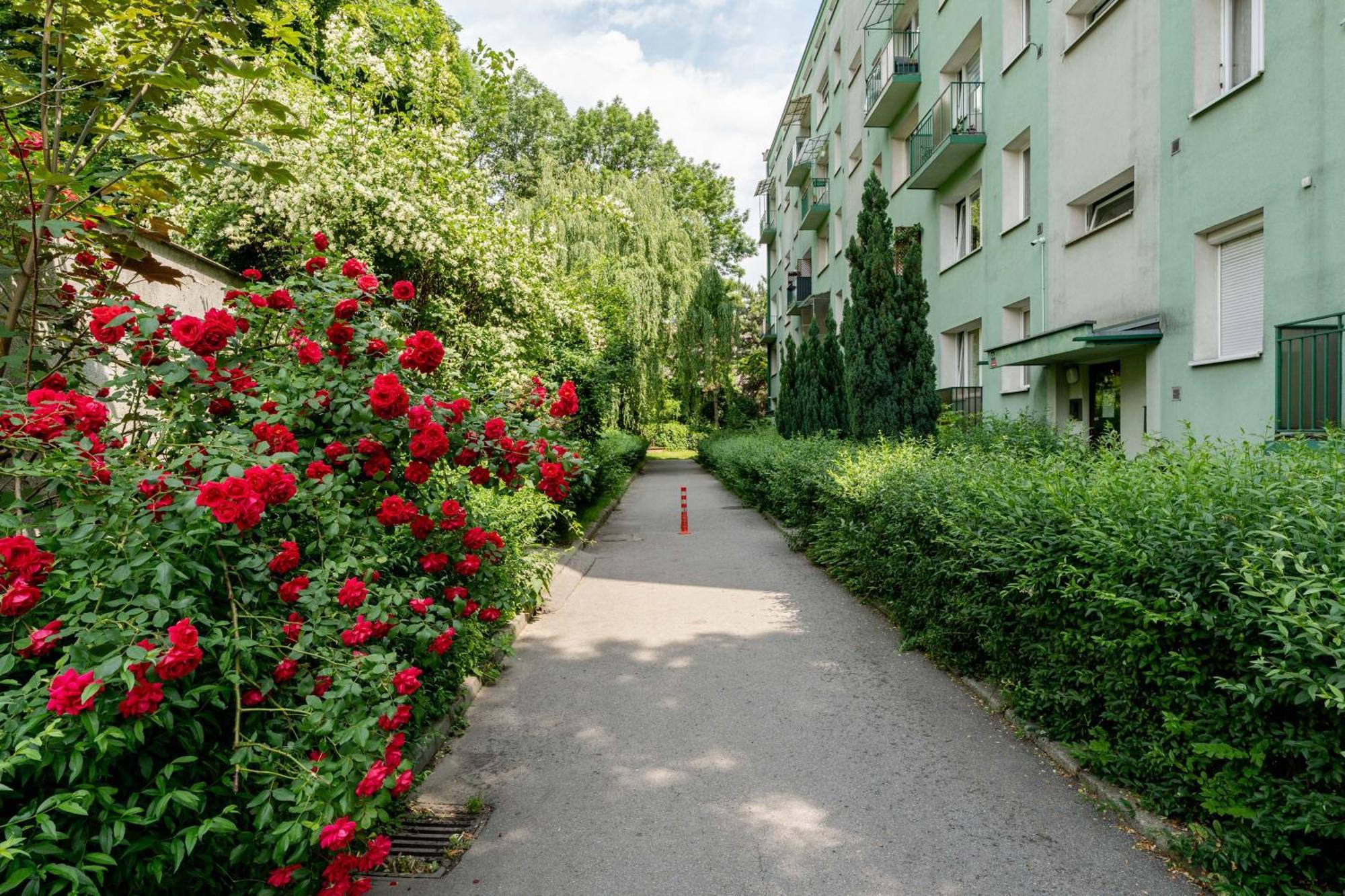 Kutrzeby Quiet Corner By Bookinghost Apartment Krakow
